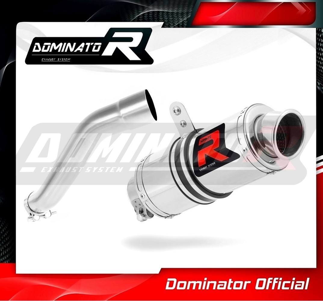 DOMINATOR Schalldämpfer GP1 – Für BMW F650 CS 2002-2005, Edelstahl, Mit DB-Killer