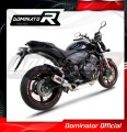 Auspuff Schalldämpfer DOMINATOR homologiert GP passend für CB 600F HORNET 2007  2013