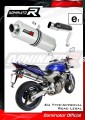 Auspuff Schalldämpfer DOMINATOR homologiert OVAL passend für CB 600F HORNET 2003  2006 3
