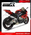Auspuff Schalldämpfer DOMINATOR homologiert GP passend für S1000RR 2009  2011 2