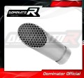 Auspuff Schalldämpfer DOMINATOR GP3 passend für S1000RR 2009  2011 2