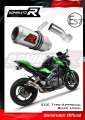 Auspuff Schalldämpfer DOMINATOR homologiert GP passend für Z 900 2017  2019 5