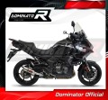 exhaust muffler DOMINATOR GP fits to Kawasaki VERSYS 1000 2019  2024 4