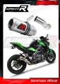 Auspuff Schalldämpfer DOMINATOR GP passend für Kawasaki Z900 2017  2019