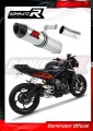 Auspuff Schalldämpfer DOMINATOR HP2 passend für Triumph STREET TRIPLE 765 S R RS 2017  2019