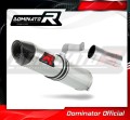 Auspuff Schalldämpfer DOMINATOR HP2 passend für Triumph STREET TRIPLE 765 S R RS 2017  2019 2