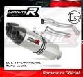 Auspuff Schalldämpfer DOMINATOR homologiert HP1 passend für Z1000 2007  2009