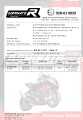 Auspuff Schalldämpfer DOMINATOR homologiert GP passend für Z 900 2017  2019 6