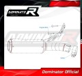 Auspuff Schalldämpfer DOMINATOR GP passend für BMW F900R 2020  2026 5