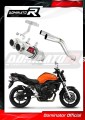 Auspuff Schalldämpfer DOMINATOR GP1 passend für Yamaha FZ6 2004  2010 4