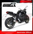 Auspuff Schalldämpfer DOMINATOR GP passend für Yamaha FZ1 FAZER 1000 2006  2015 3
