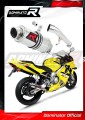 Auspuff Schalldämpfer DOMINATOR GP1 passend für Honda CBR 600 F4 1999  2000 2