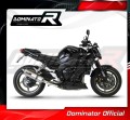 Auspuff Schalldämpfer DOMINATOR homologiert HP1 passend für YAMAHA FZ1 1000 FAZER 2006  2015 4