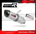 FZ 8 N / FZ8 S FAZER EXHAUST Homologated ECE Type approval - Street legal Yamaha Muffler Auspuff Sportauspuff Silencer Echappement Silencieux Scarico Scarichi Escape Wydech Tłumik Carbon End Cap HP1 2010 - 2016 DOMINATOR 1