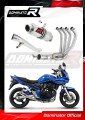 komplette Auspuffanlage mit Schalldämpfer DOMINATOR Full System GP1 passend für Suzuki GSF 650 BANDIT N / S 2005  2006
