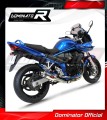 exhaust muffler DOMINATOR GP1 fits to Suzuki GSF 650 BANDIT N / S 2005  2006 3