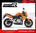 Auspuff Schalldämpfer DOMINATOR GP1 schwarz passend für Kawasaki ER  6 N / F 650 2006  2008 2
