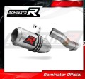 Suzuki SFV 650 GLADIUS 2009 -2015  motorcycle Exhaust Muffler Auspuff Sportauspuff Silencer Echappement Silencieux Scarico Scarichi Escape Wydech Tłumik GP  Dominator