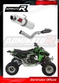 komplette Auspuffanlage mit Schalldämpfer DOMINATOR Full System GP1 passend für Kawasaki KFX 450 2008  2014