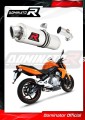 Auspuff Schalldämpfer DOMINATOR OV passend für Kawasaki ER  6 N / F 650 2006  2008
