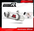 Auspuff Schalldämpfer DOMINATOR OV passend für Kawasaki ER  6 N / F 650 2006  2008 2