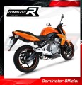 Auspuff Schalldämpfer DOMINATOR OV passend für Kawasaki ER  6 N / F 650 2006  2008 3