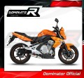 Auspuff Schalldämpfer DOMINATOR OV passend für Kawasaki ER  6 N / F 650 2006  2008 4