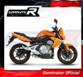 Auspuff Schalldämpfer DOMINATOR GP1 passend für Kawasaki ER  6 N / F 650 2006  2008 2