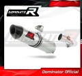 Auspuff Schalldämpfer DOMINATOR HP2 passend für Kawasaki ER  6 N / F 650 2006  2008 2