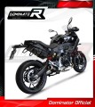 Auspuff Schalldämpfer DOMINATOR GP schwarz passend für BMW F900R 2020  2026 3