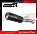 exhaust muffler DOMINATOR GP BLACK fits to BMW F900XR 2020  2026 2