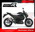 Auspuff Schalldämpfer DOMINATOR HP8 passend für Kawasaki Z800 2013  2016 4