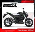 Auspuff Schalldämpfer DOMINATOR HP8 schwarz passend für Kawasaki Z800 2013  2016 4