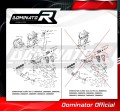Auspuff Schalldämpfer DOMINATOR GPS passend für Kawasaki Z800 2013  2016 5
