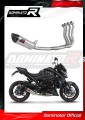 komplette Auspuffanlage mit Schalldämpfer DOMINATOR Full System HP8 passend für Suzuki GSXS 1000 / F 2015  2020