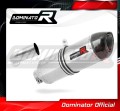 Auspuff Schalldämpfer DOMINATOR HP1 passend für BMW F800S 2006  2012