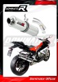 Auspuff Schalldämpfer DOMINATOR rund passend für BMW S1000RR 2017  2018