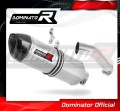 Auspuff Schalldämpfer DOMINATOR HP1 passend für BMW S1000RR 2015  2016 2