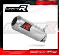 Auspuff Schalldämpfer DOMINATOR GP passend für BMW S1000RR 2009  2011