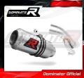 exhaust muffler DOMINATOR GP fits to BMW S1000R 2017  2020 2