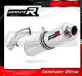 Auspuff Schalldämpfer DOMINATOR rund passend für BMW R1200R 2006  2009