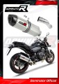 Auspuff Schalldämpfer DOMINATOR HP1 passend für Honda CB 600F HORNET PC41 2007  2013