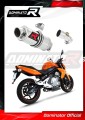 Auspuff Schalldämpfer DOMINATOR GP1 passend für Kawasaki ER  6 N / F 650 2006  2008 3