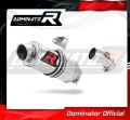 Auspuff Schalldämpfer DOMINATOR GP1 passend für Kawasaki ER  6 N / F 650 2006  2008 4