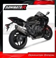 komplette Auspuffanlage mit Schalldämpfer DOMINATOR Full System Race HP6 Titan passend für YZF R1 1000 RN32 2015  2016 5