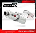Auspuff Schalldämpfer DOMINATOR rund passend für Suzuki GSX 1250 FA 2010  2016 2