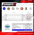 komplette Auspuffanlage mit Schalldämpfer DOMINATOR Full System OV passend für Yamaha XJ 900 Diversion 1994  2003 6