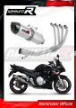 komplette Auspuffanlage mit Schalldämpfer DOMINATOR Full System HP1 passend für Suzuki GSXF 650 2007  2016