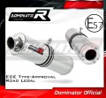 Auspuff Schalldämpfer DOMINATOR homologiert rund passend für Kawasaki ZX9R 1998  2002