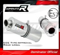 Auspuff Schalldämpfer DOMINATOR homologiert OV passend für Kawasaki ZX9R 1998  2002